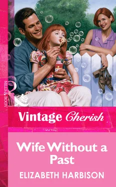 Elizabeth Harbison Wife Without a Past обложка книги