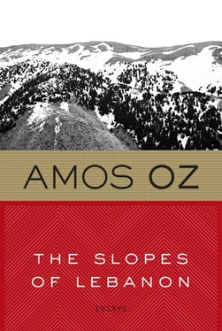 Amos Oz The Slopes of Lebanon обложка книги