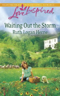 Ruth Herne Waiting Out the Storm обложка книги