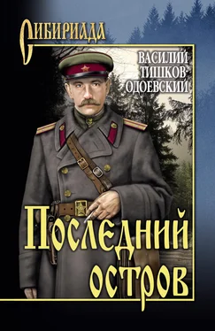 Василий Тишков Последний остров обложка книги