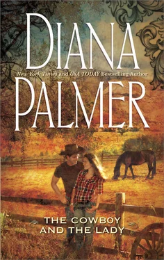 Diana Palmer The Cowboy and the Lady обложка книги