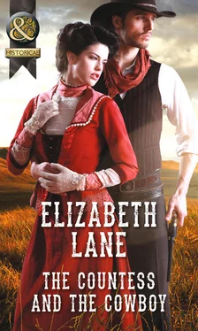 Elizabeth Lane The Countess and the Cowboy обложка книги