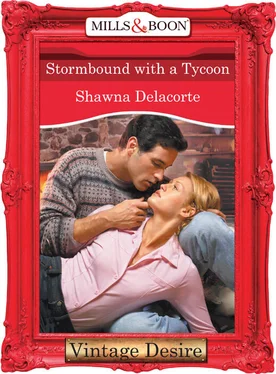 Shawna Delacorte Stormbound With A Tycoon обложка книги