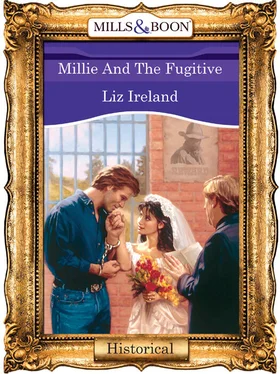 Liz Ireland Millie And The Fugitive