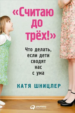 Катя Шницлер «Считаю до трех!»: Что делать, если дети сводят нас с ума обложка книги