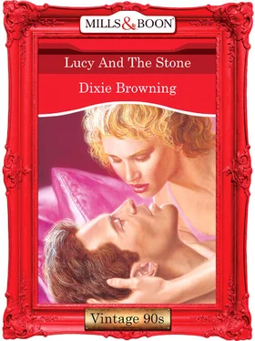 Dixie Browning Lucy And The Stone обложка книги