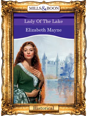 Elizabeth Mayne Lady Of The Lake обложка книги