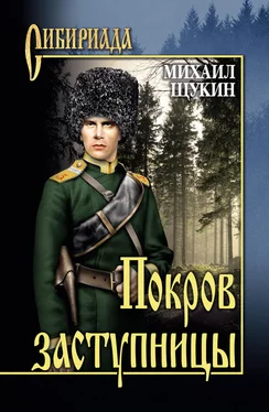 Михаил Щукин Покров заступницы обложка книги