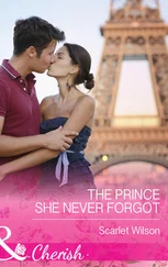 Scarlet Wilson - The Prince She Never Forgot