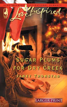 Janet Tronstad Sugar Plums for Dry Creek обложка книги