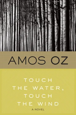 Amos Oz Touch the Water, Touch the Wind обложка книги