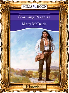 Mary McBride Storming Paradise обложка книги