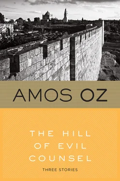 Amos Oz The Hill of Evil Counsel