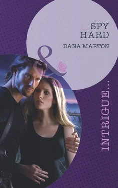 Dana Marton Spy Hard обложка книги