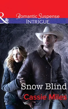 Cassie Miles Snow Blind обложка книги