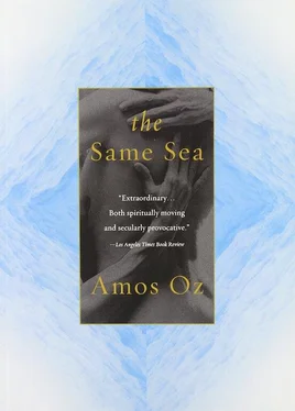 Amos Oz The Same Sea обложка книги