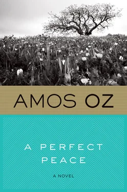 Amos Oz A Perfect Peace обложка книги