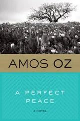 Amos Oz - A Perfect Peace