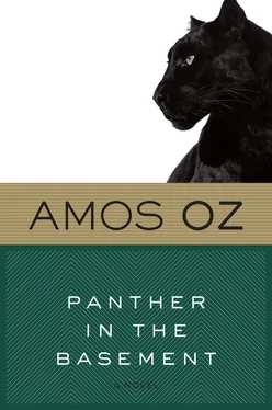 Amos Oz Panther in the Basement обложка книги