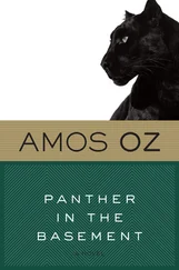 Amos Oz - Panther in the Basement