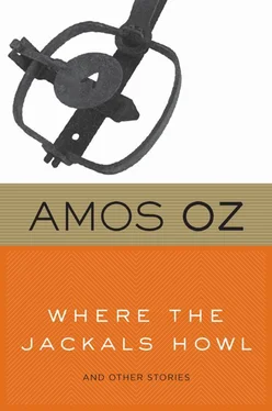 Amos Oz Where the Jackals Howl обложка книги