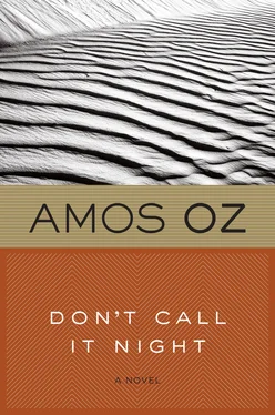 Amos Oz Don't Call It Night обложка книги