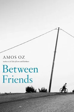 Amos Oz Between Friends обложка книги