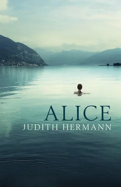 Judith Hermann Alice обложка книги