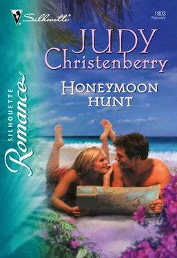 Judy Christenberry Honeymoon Hunt обложка книги