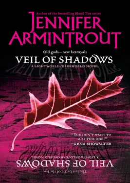 Jennifer Armintrout Veil Of Shadows обложка книги