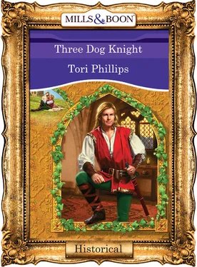 Tori Phillips Three Dog Knight обложка книги