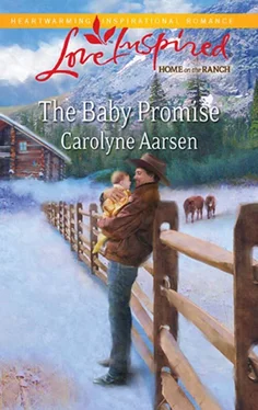 Carolyne Aarsen The Baby Promise обложка книги