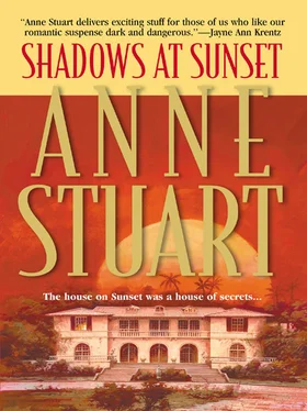 Anne Stuart Shadows At Sunset обложка книги