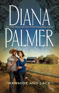 Diana Palmer Rawhide and Lace обложка книги