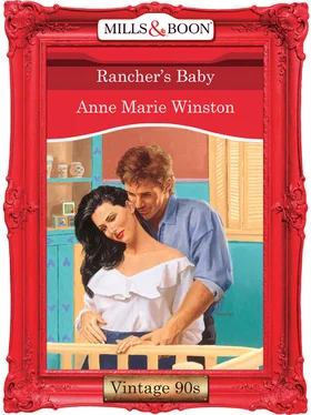 Anne Winston Rancher's Baby обложка книги
