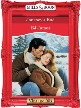 Bj James Journey's End обложка книги