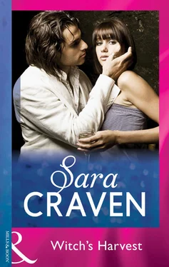 Sara Craven Witch's Harvest обложка книги