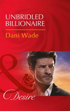 Dani Wade Unbridled Billionaire обложка книги