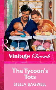 Stella Bagwell The Tycoon's Tots обложка книги