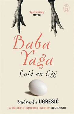 Dubravka Ugrešić Baba Yaga Laid an Egg обложка книги