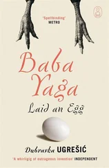 Dubravka Ugrešić - Baba Yaga Laid an Egg