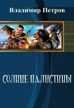 Владимир Петров Солнце Палестины (СИ) обложка книги