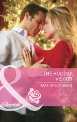 Tara Quinn - The Holiday Visitor