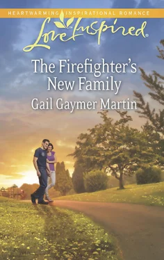 Gail Martin The Firefighter's New Family обложка книги
