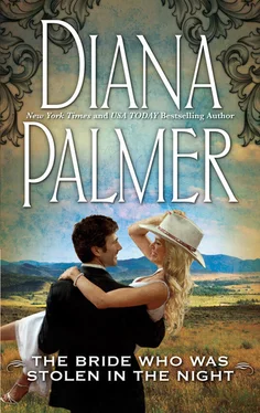 Diana Palmer The Bride Who Was Stolen In The Night обложка книги