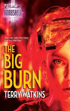 Terry Watkins The Big Burn обложка книги