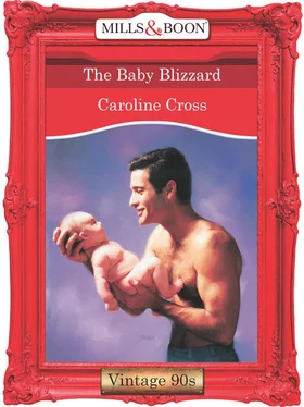 Caroline Cross The Baby Blizzard обложка книги