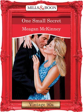 Meagan McKinney One Small Secret обложка книги