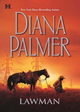 Diana Palmer Lawman обложка книги