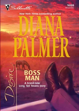 Diana Palmer Boss Man обложка книги